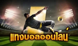 เว็บ พนันบอลออนไลน์